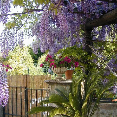 Bed & Breakfast Zuccaro Trecastagni