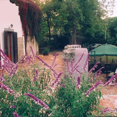 Zuccaro 4* Trecastagni