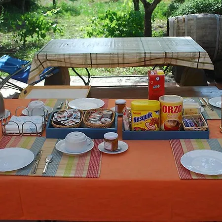 Zuccaro Bed and breakfast
