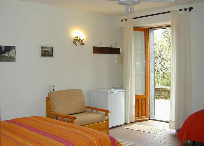 Zuccaro Couette-café